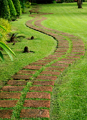 Gartenpflege